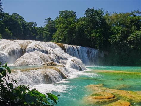 La Cascada de Agua Azul: Una Esplosione di Blu Celeste in un Ambiente Mistico!